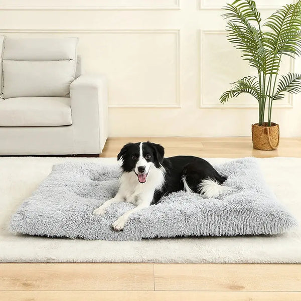 Camas suaves para perros y gatos DS