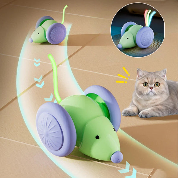 Juguete interactivo para gatos DS