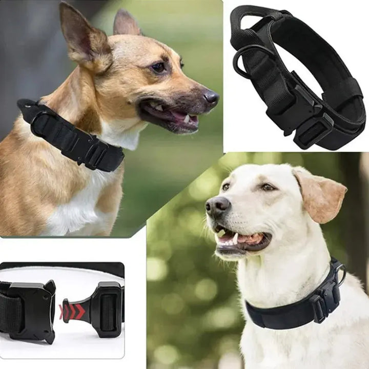 Collar táctico ajustable para perros con cuerda de tracción DS